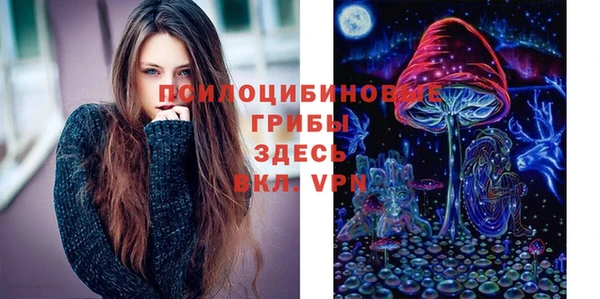 PSILOCYBIN Кулебаки