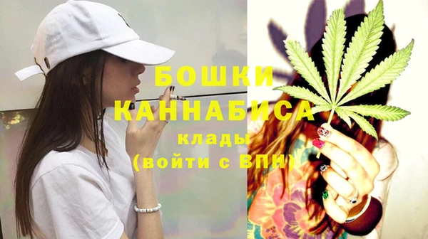 PSILOCYBIN Кулебаки